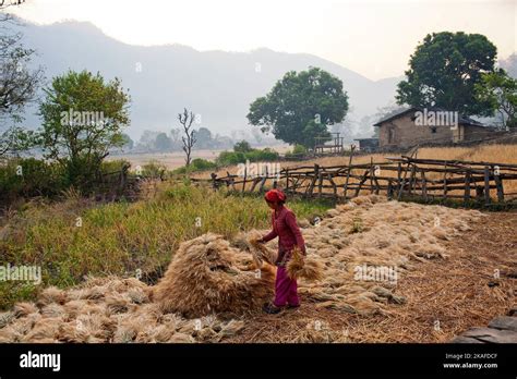 Chuka Village With Heavy Jungle In The Background Chuka Village Was Made Famous By Jim Corbett