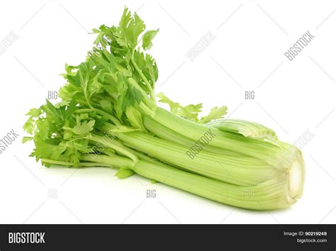 Fresh Celery Stems On Image And Photo Free Trial Bigstock