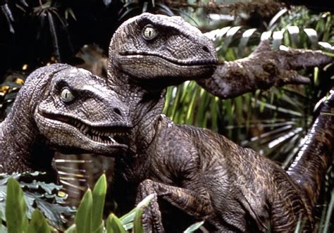 Velociraptors Jurassic Park Deadliest Fiction Wiki Fandom