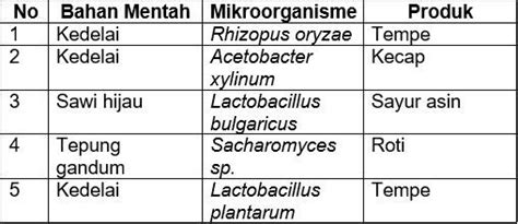 Perhatikan Tabel Nama Bakteri Dan Perannya Berikut Gambaran