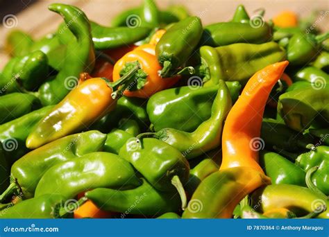 Pile Of Green Chili Peppers Stock Photo Image Of Pepper Vegetable