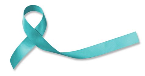 Cervical cancer is a type of cancer that occurs in the cells of the cervix — the lower part of the uterus that connects to the vagina. January is Cervical Health Awareness Month | Blog ...