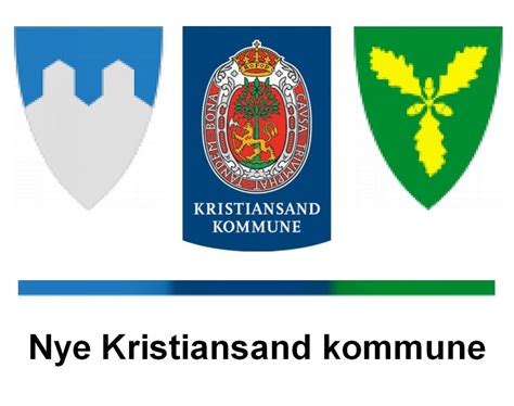Eiendomsskatten gir hodebry for norges nye kommuner. Nyopprettet topplederstilling - lede en av landets største kommunale fusjoner.
