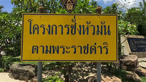 13 april 2020 | เข้าชม 60,306 ครั้ง. โครงการชั่งหัวมัน ตามพระราชดำริ (18 พ.ค. 2561) - YouTube