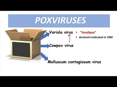 Smallpox was an infectious disease caused by one of two virus variants, variola major and variola minor. Poxvirus- Smallpox |Molluscum contagiosum - YouTube