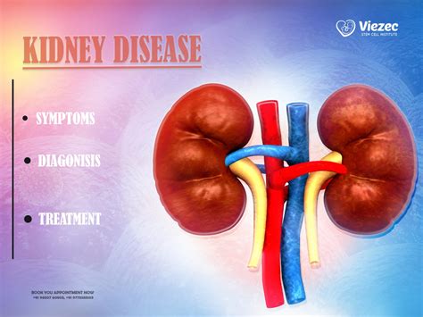 Kidney Cancer Symptoms Diagnosis And Treatment