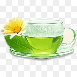 Collection Of Hq Green Tea Png Pluspng The Best Porn Website