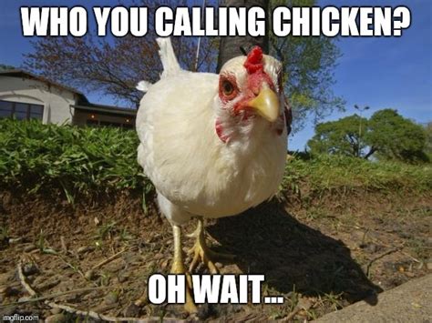 Chicken Week April 2 8 A Jbmemegeek And Giveuahint Event Imgflip
