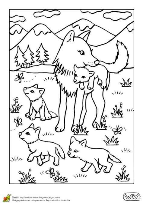 Dans les données de la police et de la gendarmerie relatives aux : Coloriage bebe animaux louve et louveteaux | Coloriage ...