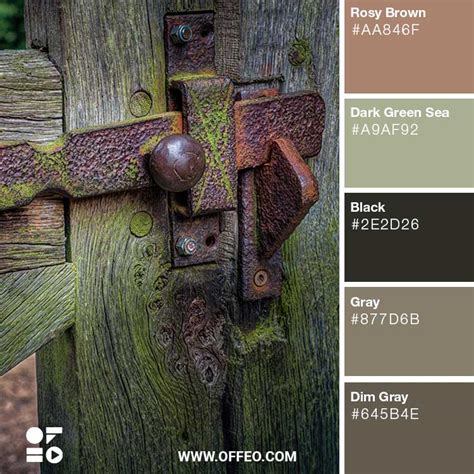20 Nature Inspired Rustic Color Palettes Rustic Color Schemes Offeo