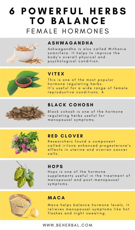 11 Hormone Regulating Herbs You May Have Never Heard Of Herbs For