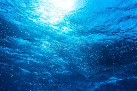 Underwater Deep Blue Sea Background Looking Into The Sun From The