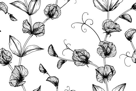 Seamless Pattern Hand Drawn Sweet Pea Flower And Leaves 1212813 Vector