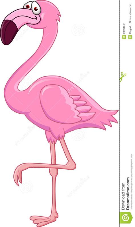 Flamingo Cartoon Stock Vector Illustration Of Clipart