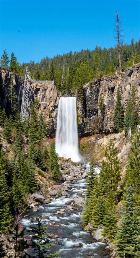 10 Amazing Waterfall Hikes In Oregon Waterfall Waterfall Hikes