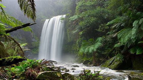 Forest Jungle Waterfall Hd Waterfalls And Green Trees Nature Forest