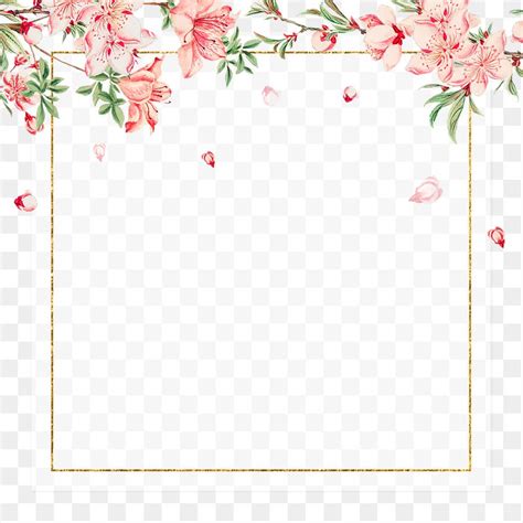 Floral Border Designs Free Vector Graphics Clip Art Psd And Png
