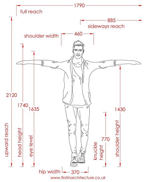 Metric Data 01 Average Dimensions Of People Standing Metric