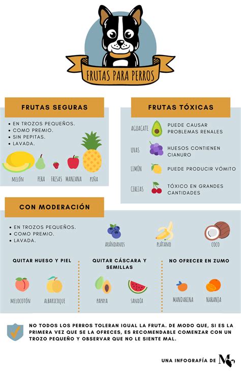 Frutas Saludables Para Perros Blog De Perros