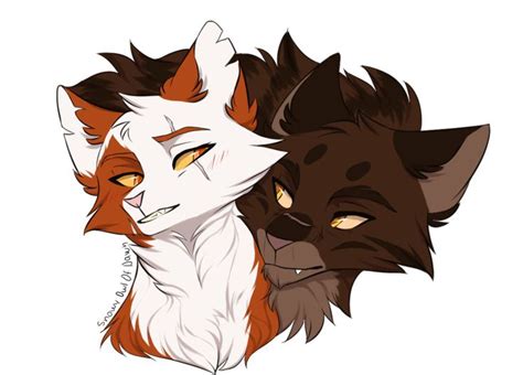 Tigerstar And Mapleshade By Snowy Owl Of Dawn Warrior Cat Memes