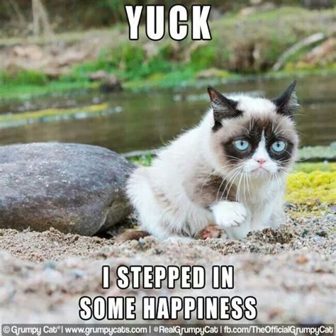Just Awful Grumpy Cat Pinterest Animals Funniest Animals And Cats