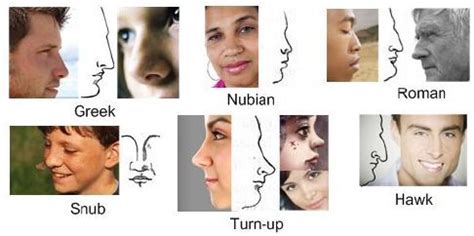 Airplanes come in many different shapes and sizes depending on the mission of the aircraft. Nose type descriptions for character creation | Nose ...
