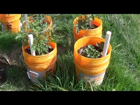 The tools you will need for this are: DIY Planter in 5 Gallon Buckets - YouTube