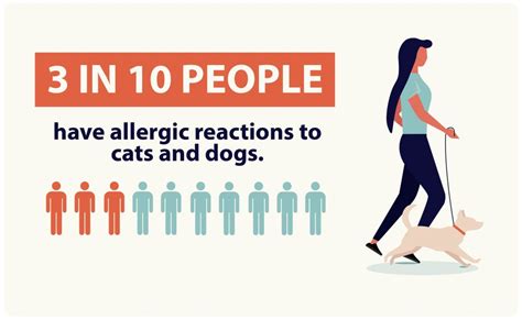 How Long Do Dog Allergy Symptoms Last
