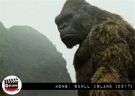The King Is Back In Kong Skull Island Morbidly Beautiful