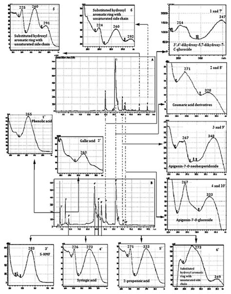 Reversed Phase High Performance Liquid Chromatography Rp Hplc