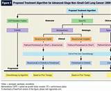 Pictures of Small Cell Lung Cancer Treatment Immunotherapy