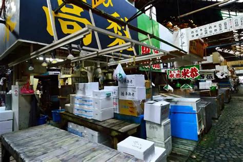 Famous Fish Markets In Tokyo Visiting Tips And Best Markets Yougojapan