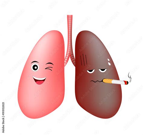 Healthy Lung Smile And Damage Smoking Lung Troubled Cute Cartoon