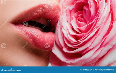 Lips With Lipstick Closeup Beautiful Woman Lips With Rose Stock Photo