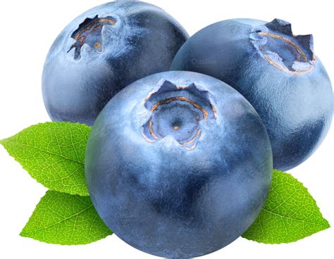 Blueberries Png Image For Free Download