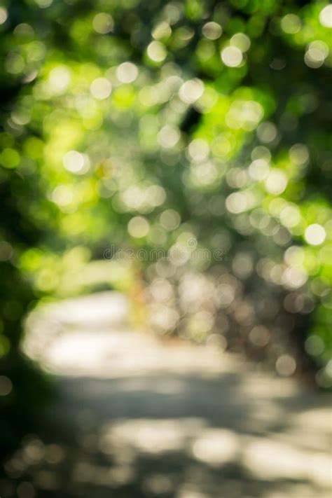 Abstract Green Bokeh Blur Nature Forest Path Background Stock Photo