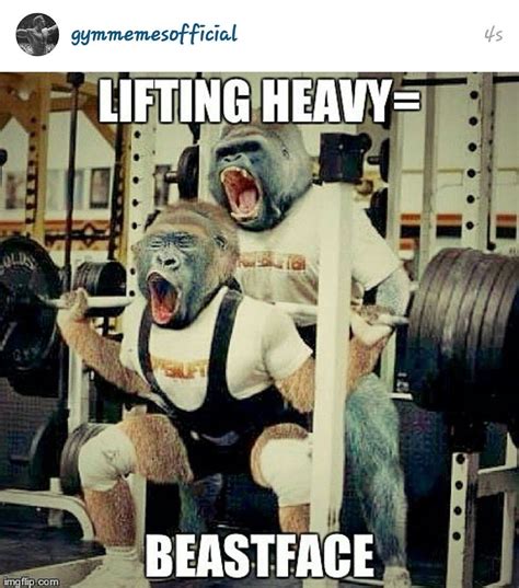 gym memes photo workout humor gym memes funny gym pictures