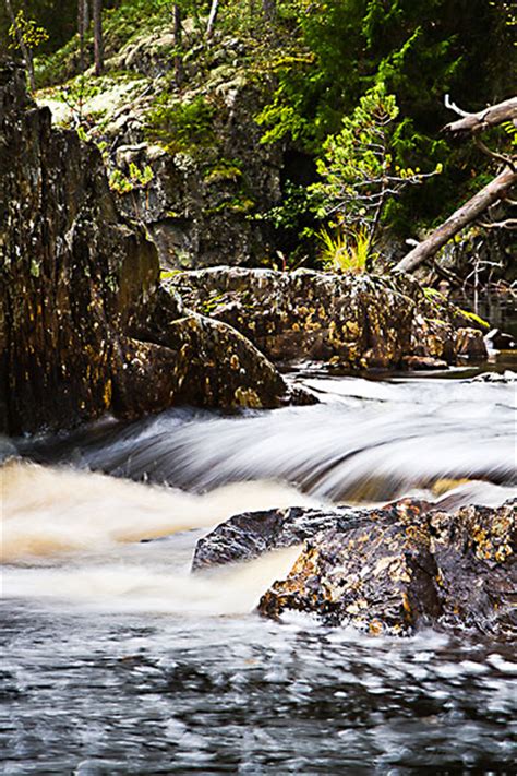 Auf dieser seite können sie 691 grundeigentum in gävleborg (schweden) zu finden. Sveriges naturtyper | Välkommen ut till Sveriges finaste ...