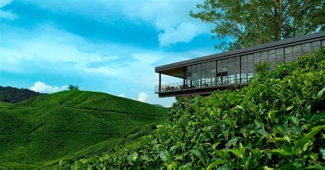 Hiasan dalaman hotel ini amat cantik dan sarapan pagi juga ada disediakan. Artikel Terkini Tempat Menarik di Cameron Highland, Pahang