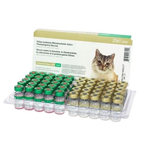 My cats are indoor only, but they are. Order Cat Vaccines | Multiple Vaccinations For Cats, Felines