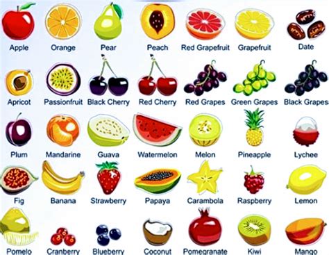 Vocabulary Fruit English Your Way