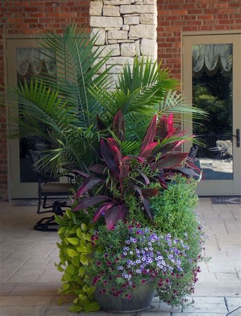 Large Tropical Plants Make A Bold Statement Container Garden Design