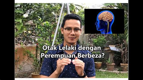 Perbezaan Otak Perempuan Dan Lelaki YouTube