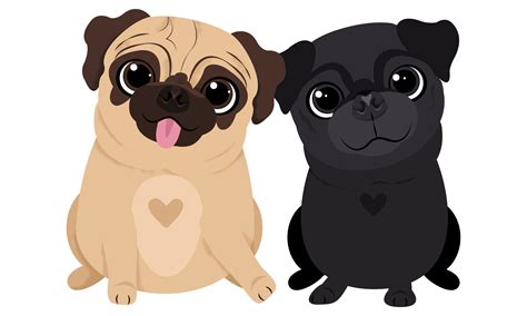Illustrated Fifteen Pugs For Use In A Card Game In New Zealand Pug