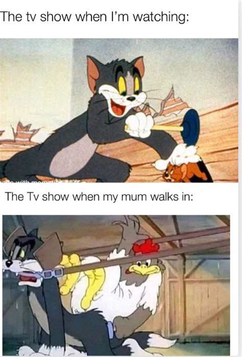 10 Hilarious Memes That Feature Tom And Jerry Images And Photos Finder