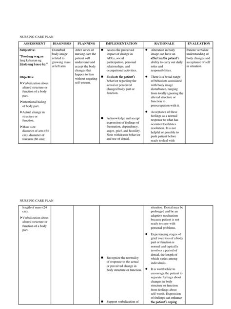 Ncp Disturbed Body Image Pdf Coping Psychology Grief