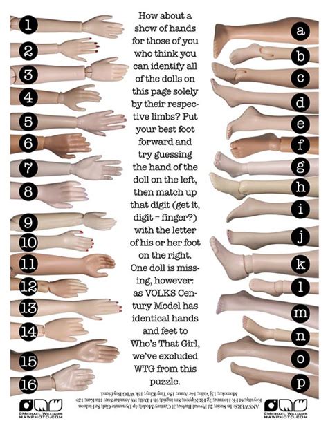 Hand And Feet Comparison Body Comparison Feature Published Flickr