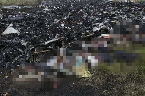 mh17 eyewitness accounts emerge of the horror that unfolded at crash site daily mail online