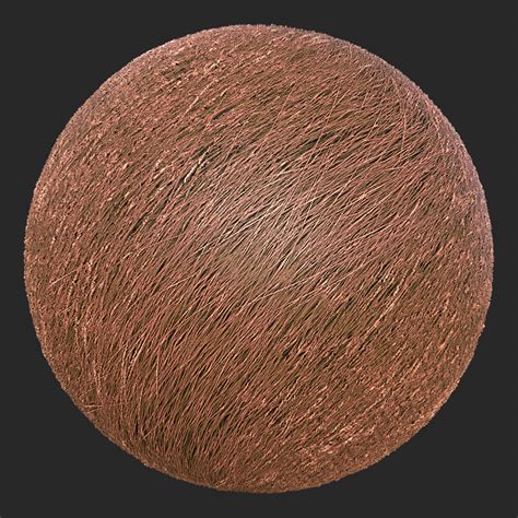 Fur Texture Of Animals Free Pbr Texturecan