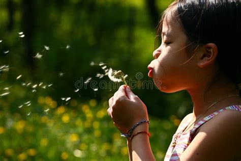 Little Girl Blowing A Dandelion Stock Photo Image Of Dandelion Seed